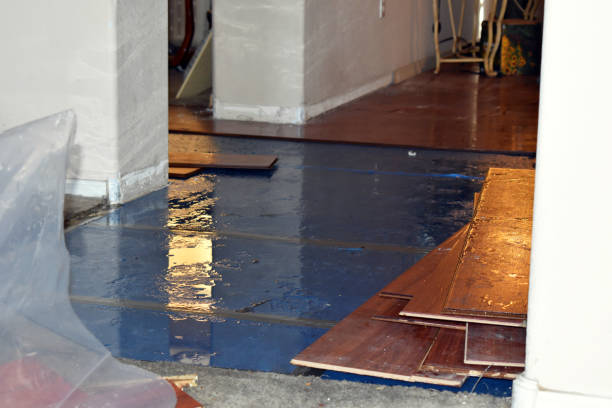 Professional Water Damage Restoration technician working in Trinity, TX